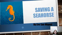 Saving a Seahorse